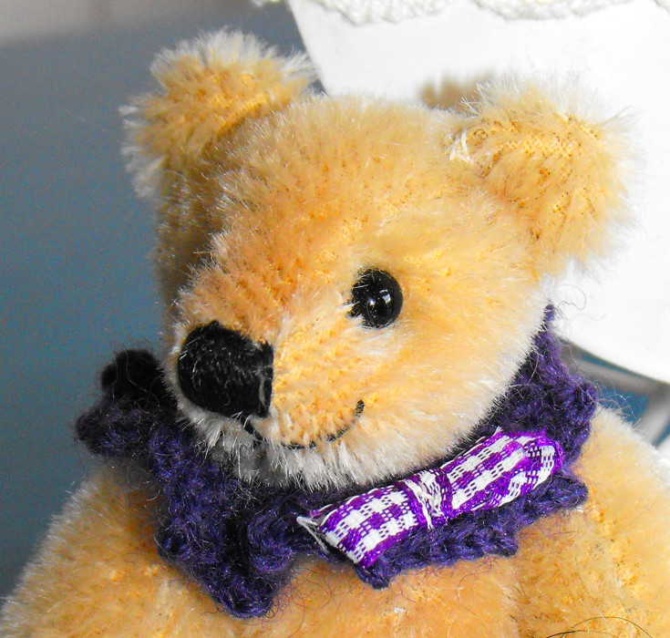Brown bear with blue collar