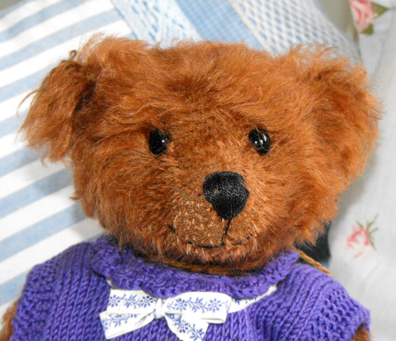 Brown bear in purple dress